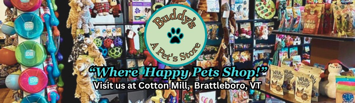Buddy's Store Banner 2024 (1200 x 350 px)