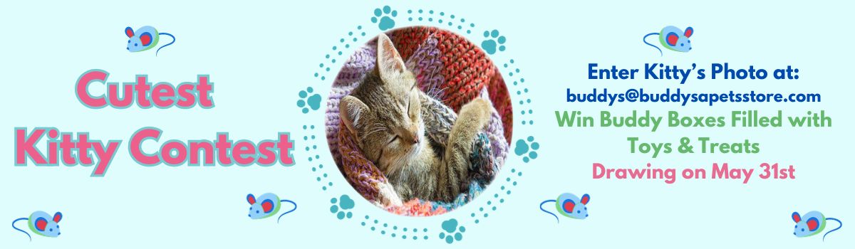 May Cutest Kitty Contest 2024 Banner 