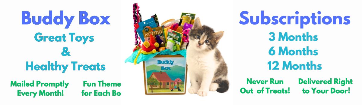 Buddy Box Cat Banner 2025