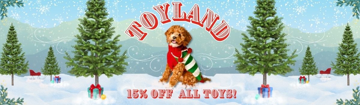 New Toyland 2025 banner