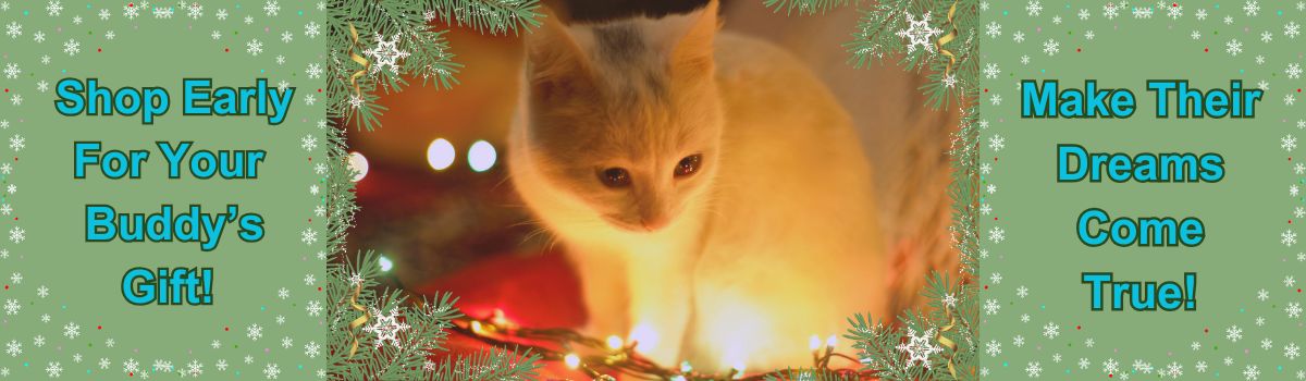 Shop Early 2025 Banner