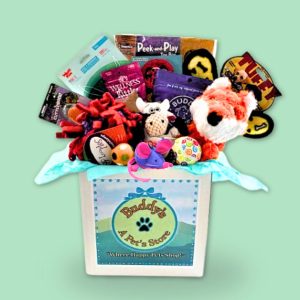 Buddy Gift Box 2025 B8
