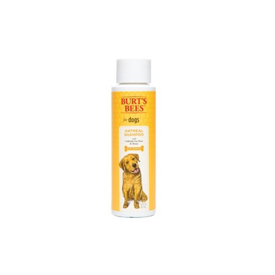 Burts Bees Natural Shampoo