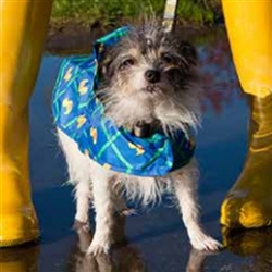 Rubber Ducky Rain Poncho