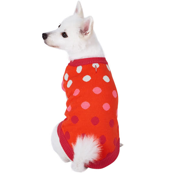 Red Spotted Dog Sweater