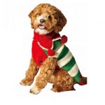Chilly Dog Holiday Elf Dog Sweater