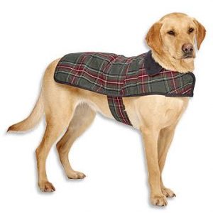 pendleton yakima dog coat