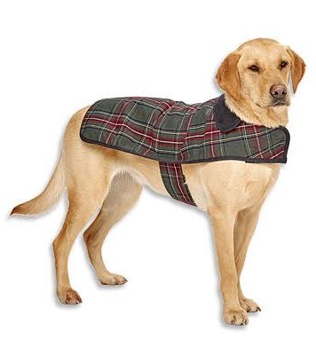 Pendleton Grey Stewart Classic Dog Coat