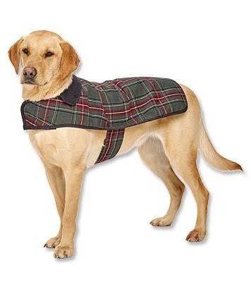 Pendleton Grey Stewart Classic Dog Coat