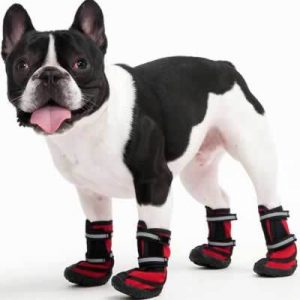 Ethical Pet Performance Waterproof Dog Boots