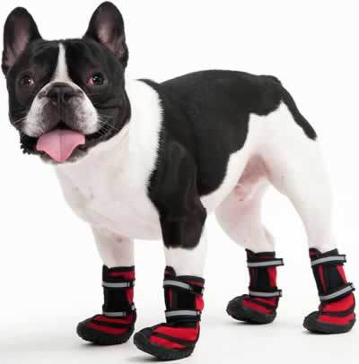 Ethical Pet Performance Waterproof Dog Boots