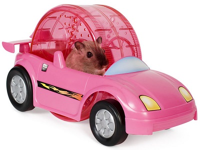 Kaytee Critter Cruiser