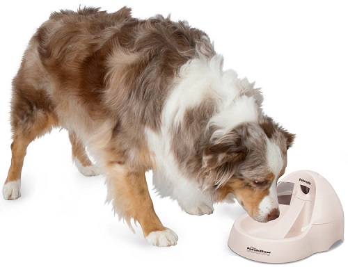 Petmate Deluxe Fresh Flow Purifying Pet Fountain