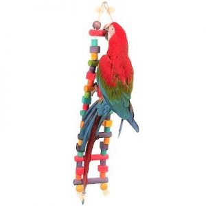 A&E Cage Company Happy Beaks Bird Ladder