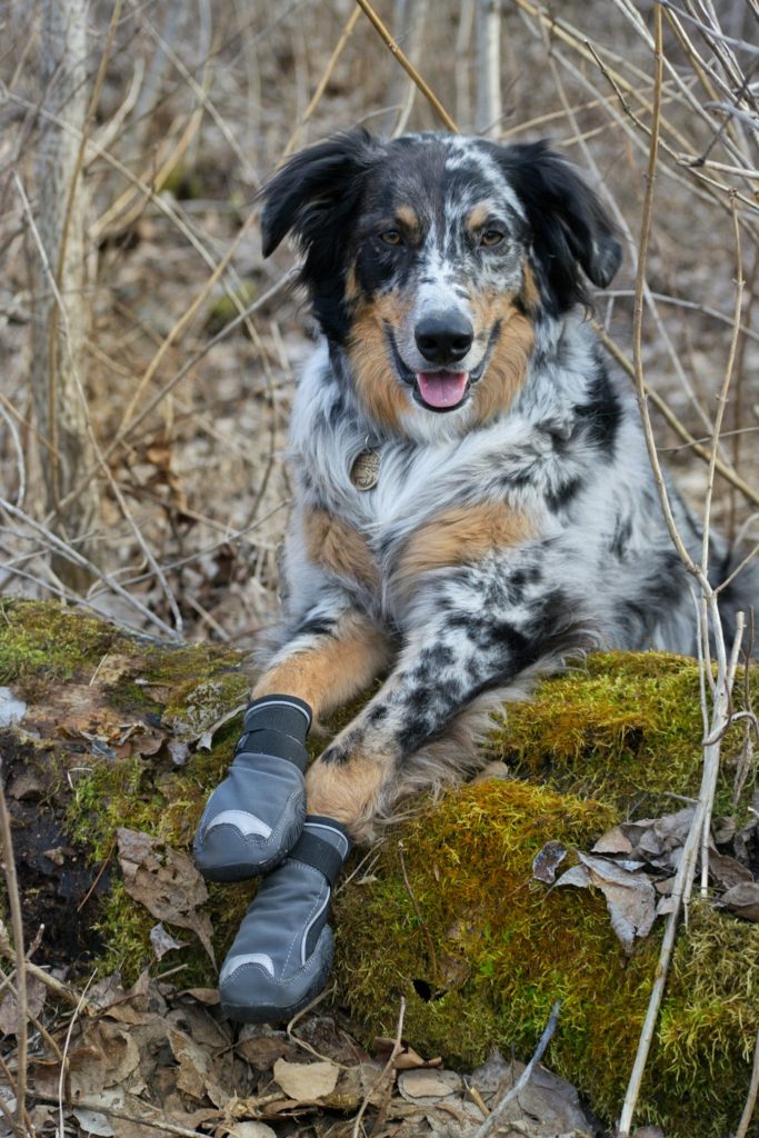 Hurtta Outback Dog Boots