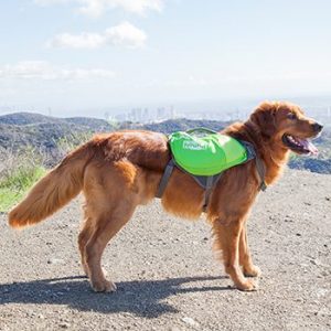 outward hound harness