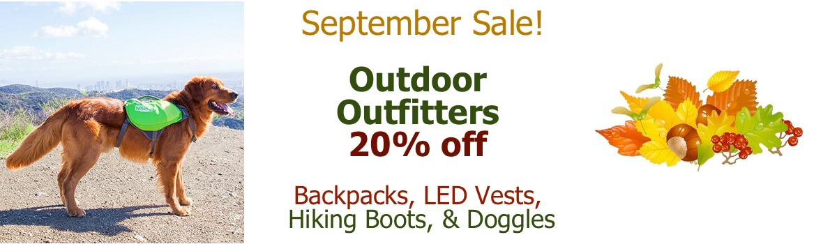 Sept Sale 2019