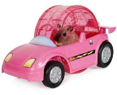 Kaytee Critter Cruiser