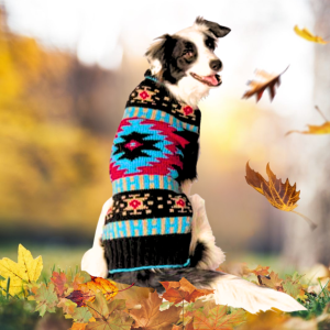Chilly Dog Black Southwestern Shawl Dog Sweater