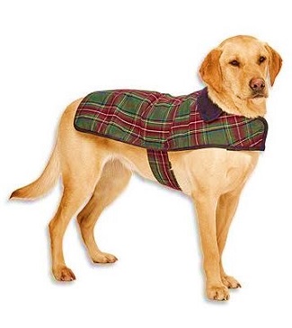 Pendleton Grey Stewart Classic Dog Coat