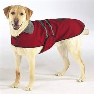Casual Canine Reflective Dog Jackets