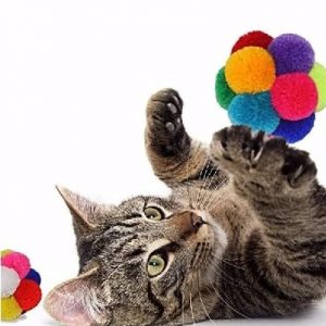 goli design cat toys