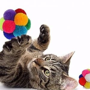 Goli Design Catomic Catnip Ball Cat Toy