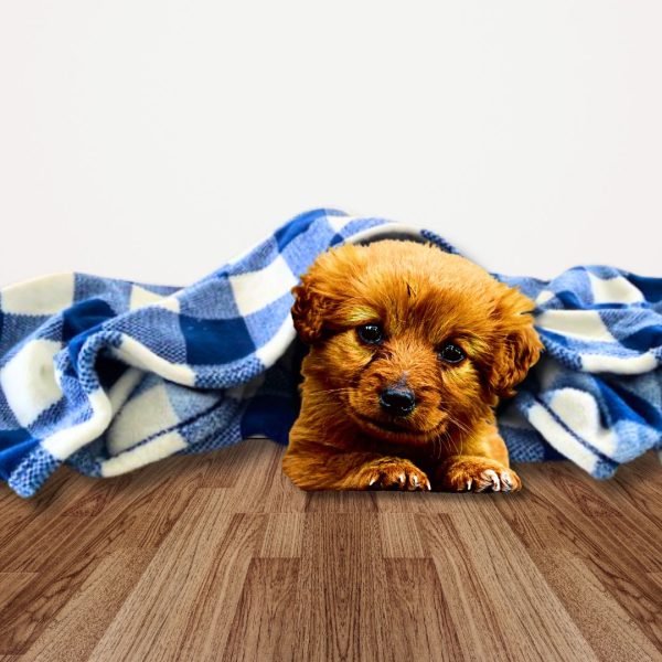 Tall Tails Navy Hunter’s Plaid Dog Blanket