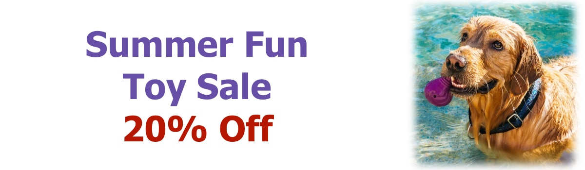 Summer Fun sale