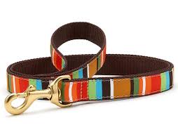 Up Country Designer Brown Stripe Dog Leash