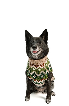 Chilly Dog Ragg Wool Fair Isle Sweater