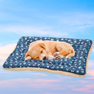 Mutts & Mittens Blue Paws Cotton Flat Bed
