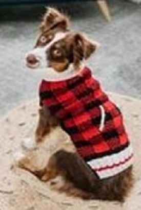 Chilly Dog Buffalo Plaid