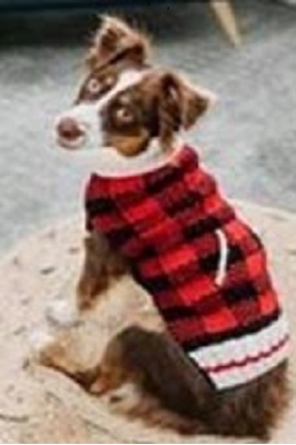 Chilly Dog Buffalo Plaid