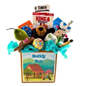 Doggie Buddy Box 2025