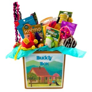 Kitty Buddy Box 2025