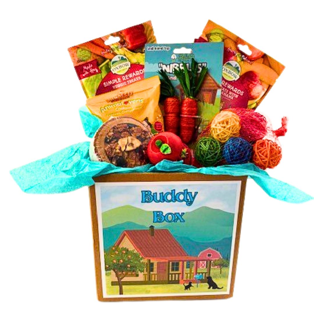 Small Pet Buddy Box 2025