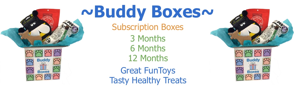 Buddy Box