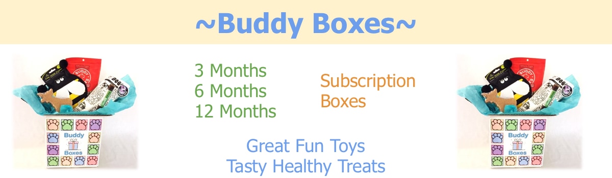 Buddy Boxes Feb 2021