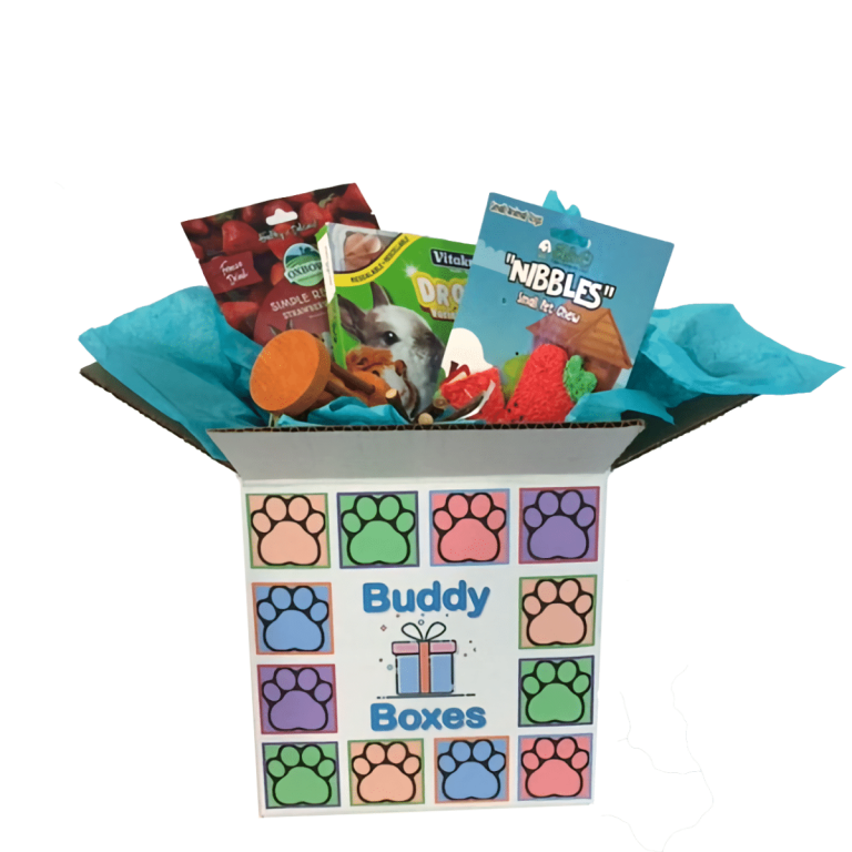 Buddy's A Pet's Store Buddy's A Pet's Store