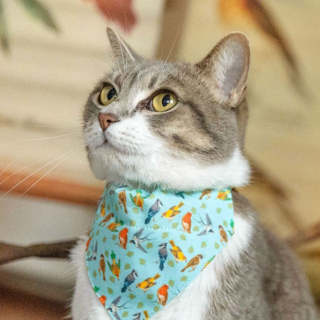 Made By Cleo Birds of a Feather Cat Bandana