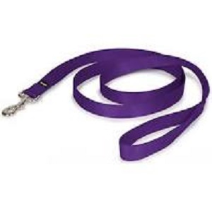 Casual Canine Purple Nylon Leash