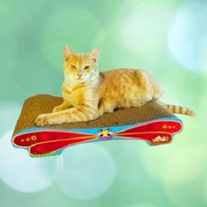 Imperial Cat Red Butterfly
