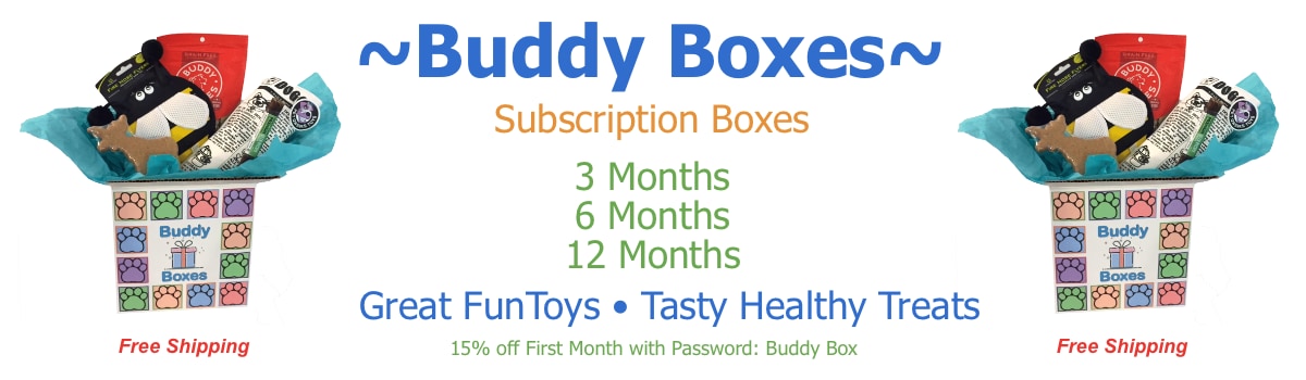Buddy Boxes Feb 2021