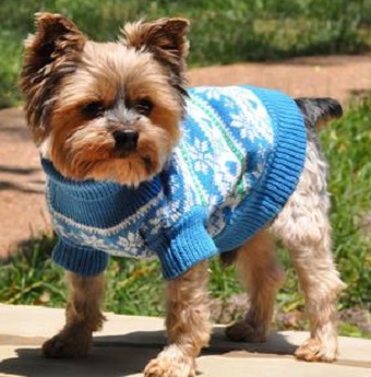 Doggie Design Blue Snowflake and Hearts Dog Sweater