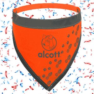 Alcott Essential Visibility Orange Dog Bandana