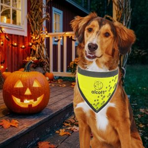 Alcott Essential Visibility Yellow Dog Bandana