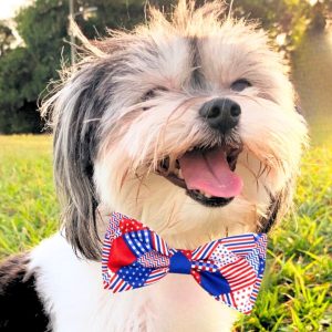 Worthy Dog Americana