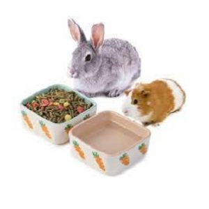 Small Pets Ceramic Carrot Bowl
