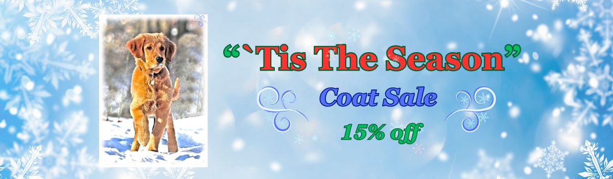 Tis The Season Sale Banner 2023